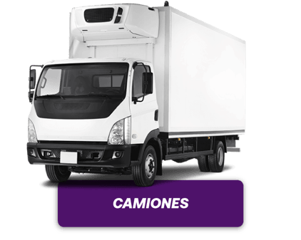 Camiones-1