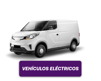 van-Electrica